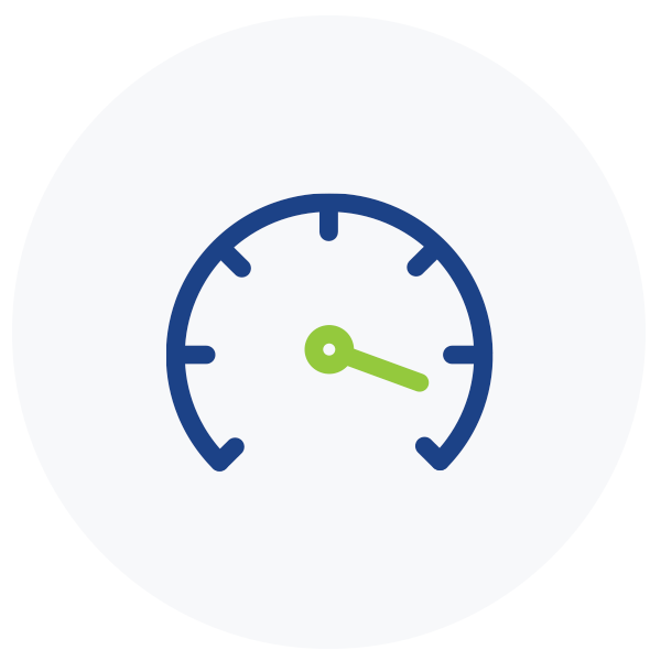 Speed icon
